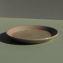 Toast Plate