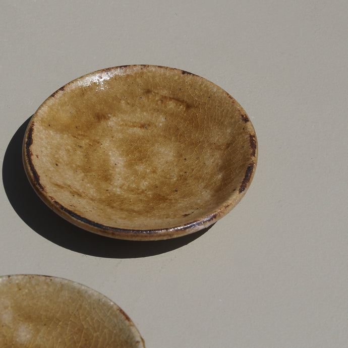 Pickle Plate
