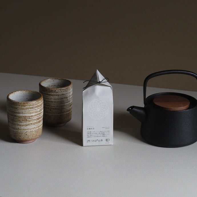Tetu Teapot & Yunomi Set