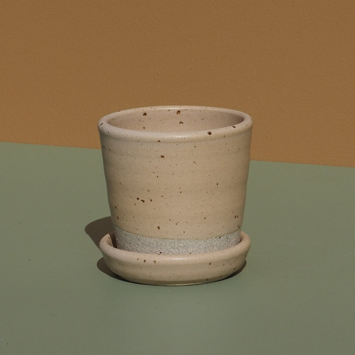 Planter XS