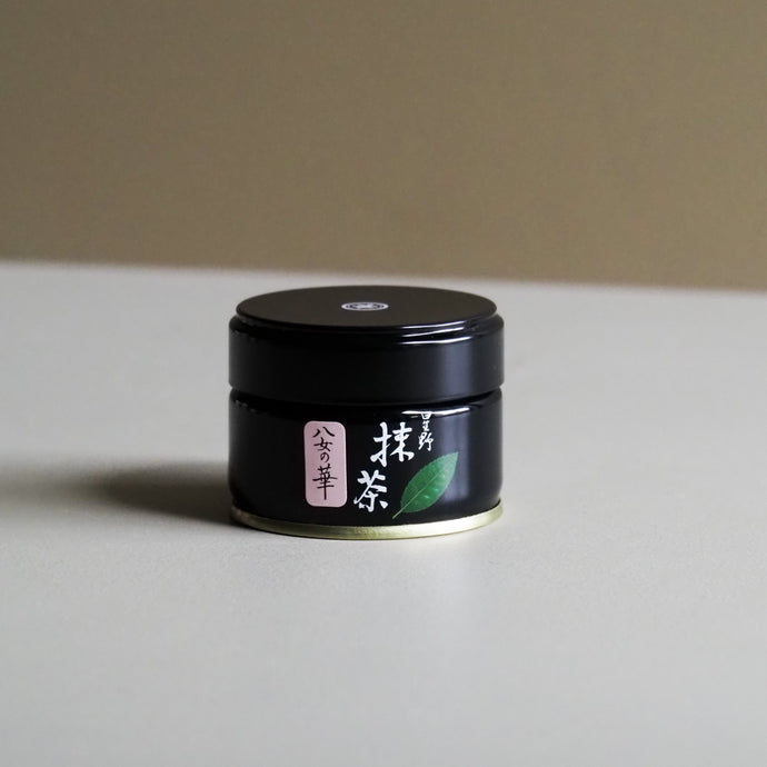 Yamenohana Matcha