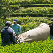 Tokuyou Sencha