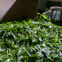 Tokuyou Sencha
