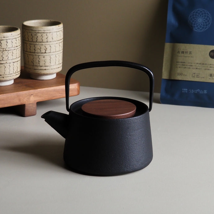 Tetu Cast Iron Teapot